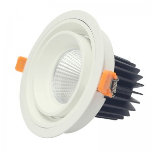 Lămpi de lăcuire cu LED-uri de formă rotundă și pătrată COB 20W 30W încastrat în lumină a condus lumina de montare ceilling