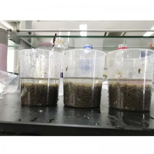 Prețul poliacrilamidei cationice pentru tratarea apelor reziduale urbane