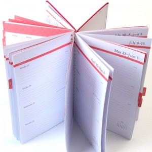 jurnal organizator jurnal