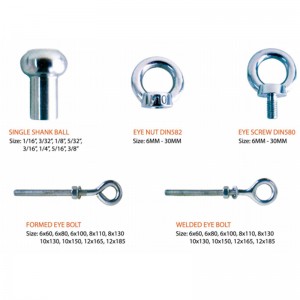 316 Piuliță inelară forjată DIN582