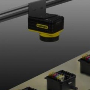 Serviciu personalizat de dispozitiv de recunoaștere a viziunii computerului