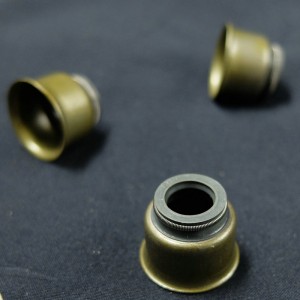 Garnitură de calitate superioară fabricată în China Valvă sigiliu pentru uleiuri Ford