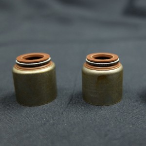 Furnizorul din China Sigiliu de ulei cu tijă de supape pentru autovehicule Renault