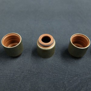 Furnizorul din China Sigiliu de ulei cu tijă de supape pentru autovehicule Renault