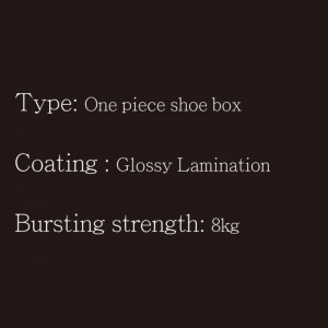 Pantof Box-One Piece-Type2