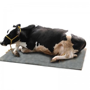 Rulot de vaci / cablu