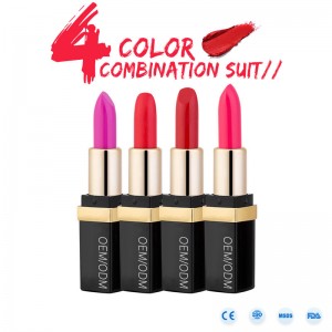 Eticheta privată de înaltă calitate, ruj mat, rezistent la apă