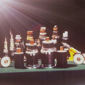 Cablu ecranat de înaltă tensiune de 110KV pentru transmisie electrică de GB 11017, IEC60840