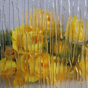 STICLA PATRONATA CLARA SI TINTA