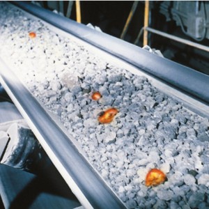 Curea transportoare rezistentă la căldură