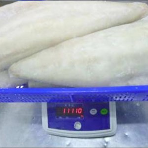 Fileuri de Saithe Atlantice sărate ușor congelate