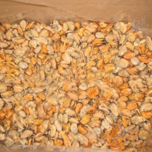 Carne de midie fiartă congelată