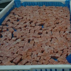 Cub de somon roz congelat