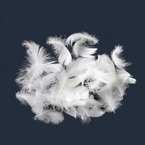 Natural Duck, Material cu pene de gâscă