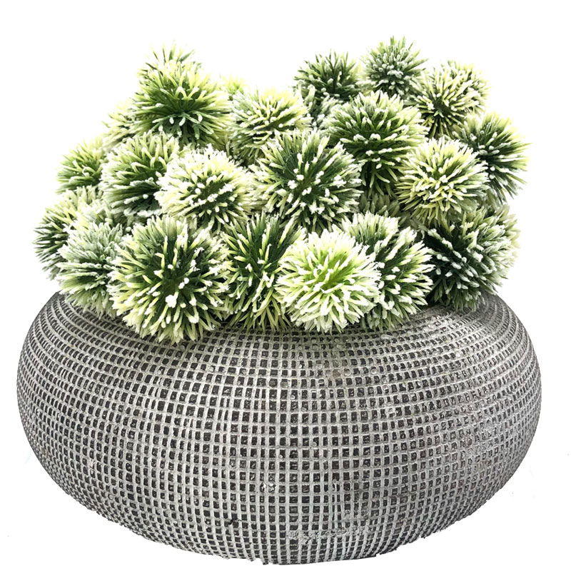 Bile artificiale de cactus în ghiveci decorative Decorațiuni reușite pentru casă sau birou