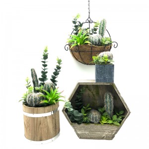 Set de cactus artificial pentru acasă sau birou în ghiveci decorativi, decorațiuni cu suc