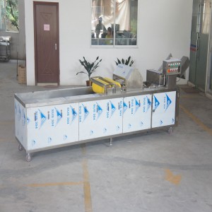 Mașină de spălat legume pentru dezinfectarea ozonului (cu dispozitiv de îndepărtare a impurității)