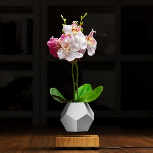 plantă de levitație magnetică plutitoare oală de aer bonsai PA-0708