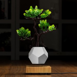 Mașini de plătit magnetice cu bonsai cu aer flotant PA-0708
