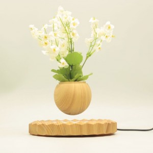 360 rotativă magnetică cu levitație cu flotant cu aer de bonsai, instalație PA-0701