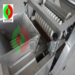 Coajă de fasole largă