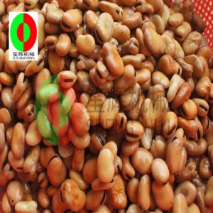 Coajă de fasole largă