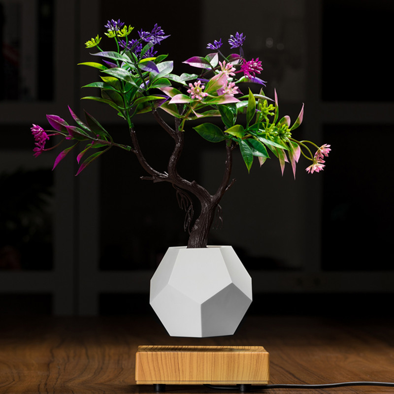 noua bază de lemn cu levitație magnetică cu fundașă de bonsai plantă de ghiveci