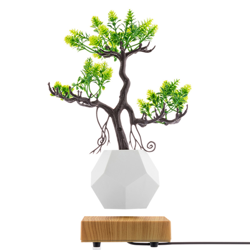 noua bază de lemn cu levitație magnetică cu fundașă de bonsai plantă de ghiveci