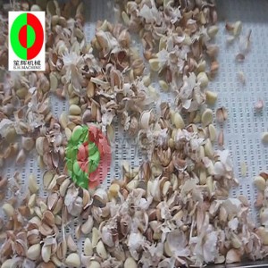 masina de decojit usturoi FT-1000