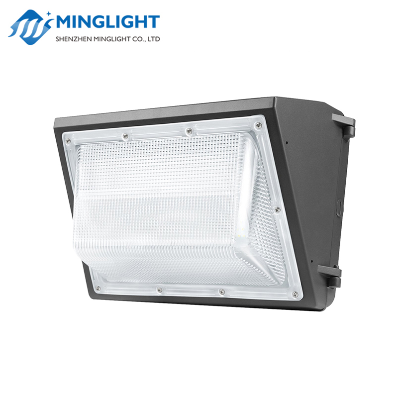 Pachet de perete cu LED WPB 100W