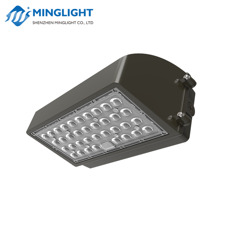 LED pachet de perete lumina WPC2 60W