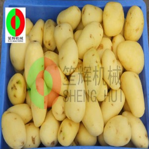 Mașină nouă de curățat fructe QX-608 / Mașină de curățat și curățat fructe / Mașină de curățat și decojit peria de fructe