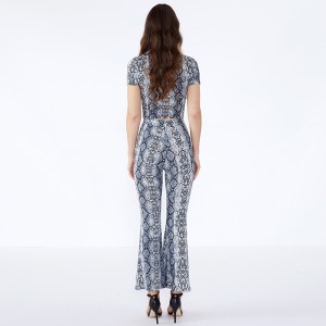 Leopard Print Bodycon Pantaloni scurți la modă din două piese Set îmbrăcăminte pentru femei