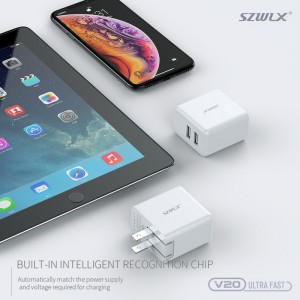WEX - V20 încărcător de perete, încărcător de călătorie, adaptor de alimentare