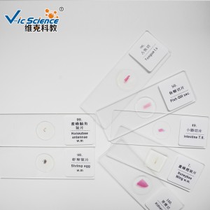 100pcs preparate histologice preparate microscop kit preparate diapozitive în cutie de plastic