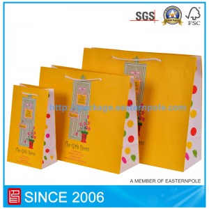 Pungă de hârtie de cadou frumoasă