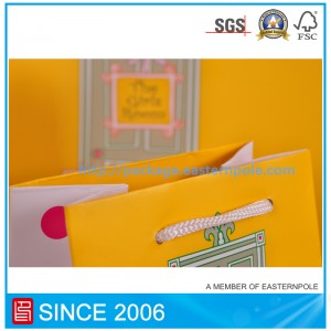 Pungă de hârtie de cadou frumoasă