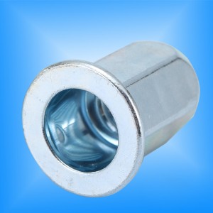 Cap plat cu corp hexagonal