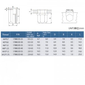 Reduceți corpul cu cap hexagonal