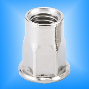 Cap plat cu corp hex interior