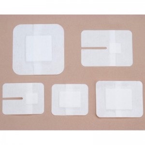 Pansament aderent plagii