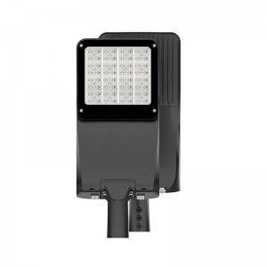 100W King LED Light Street