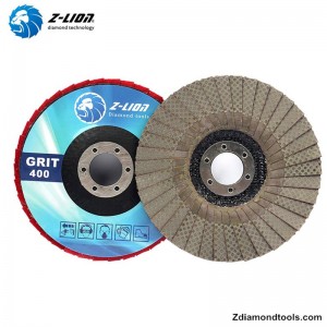 ZL-WMC66S depozit de acasă cu discuri de măcinare cu diamante ieftine din China