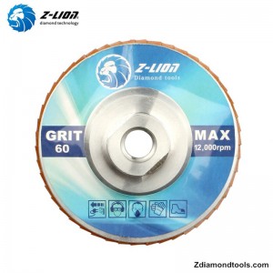 ZL-WMCY02 discuri de polizare cu diamant de 5 inch cu fir