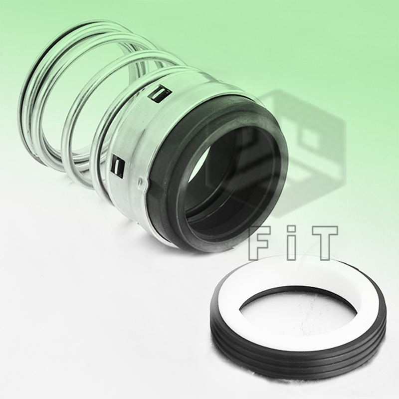 Garnituri mecanice elastice cu elastomer FT1B