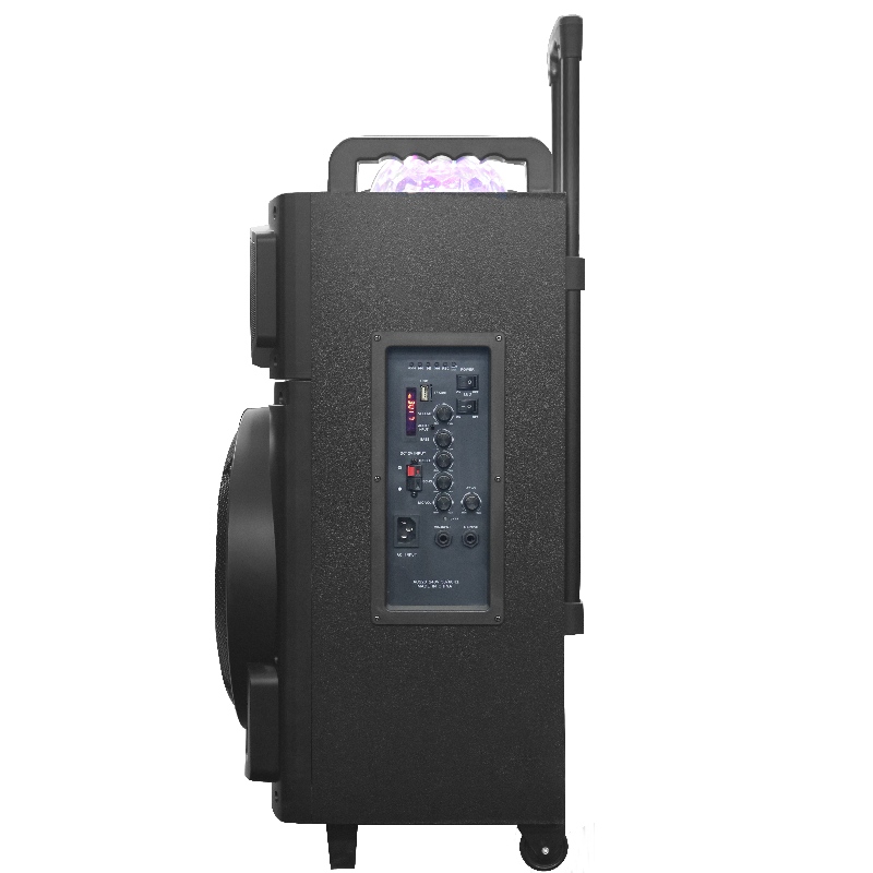 Speaker trol Y-K8-12M2H