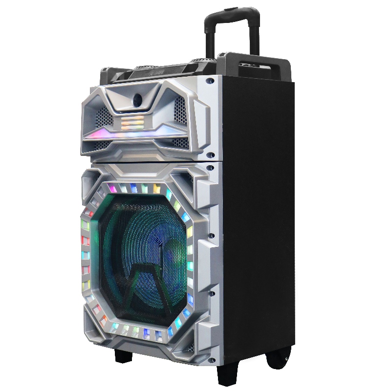 Speaker trol Y-K8-12ZH