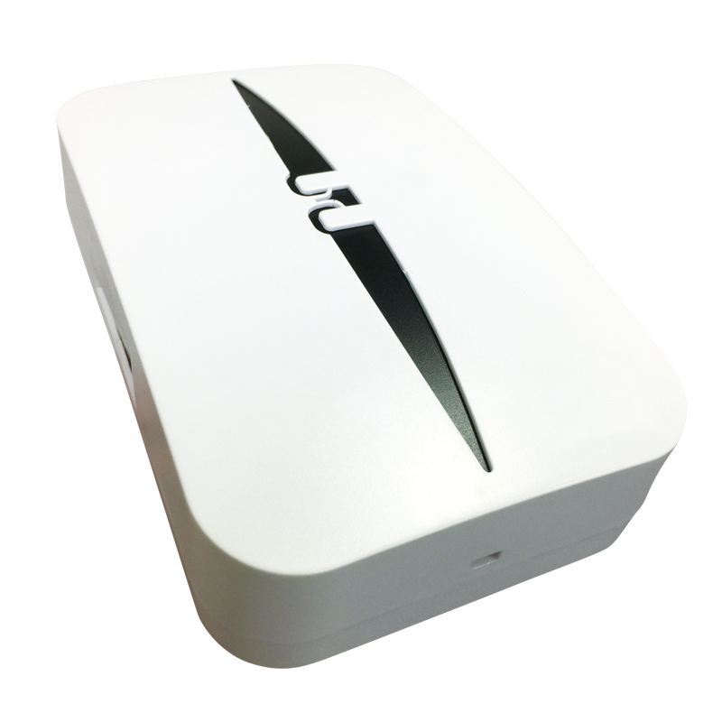 UȘĂ MECANICĂ WRIED Q306