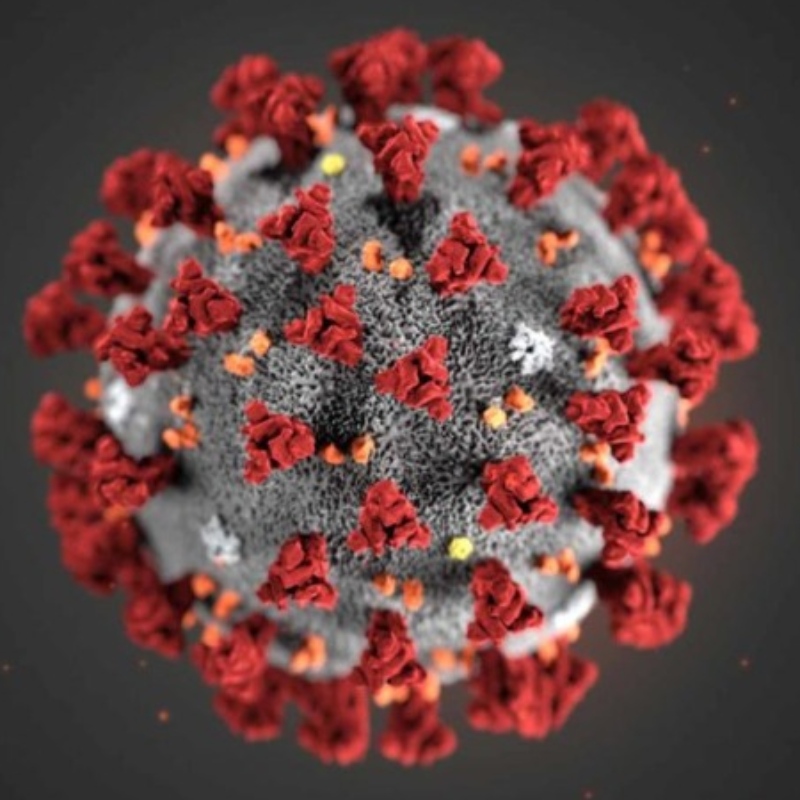 \'Celulele ucigaşe\ pot proteja împotriva COVID-19