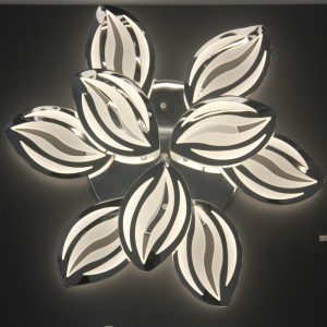 AC801 Lumina plafonului